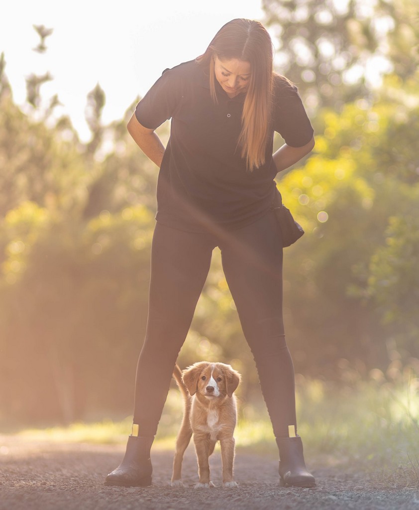 Dog trainer teaching tricks and engagement in North Brisbane