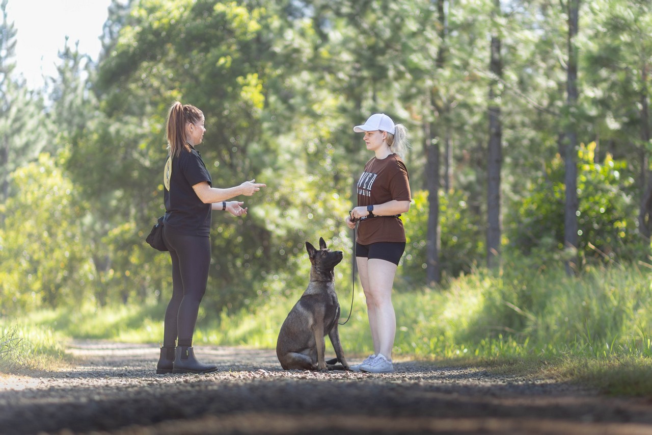 Mobile dog trainer coaching an owner at home in North Brisbane