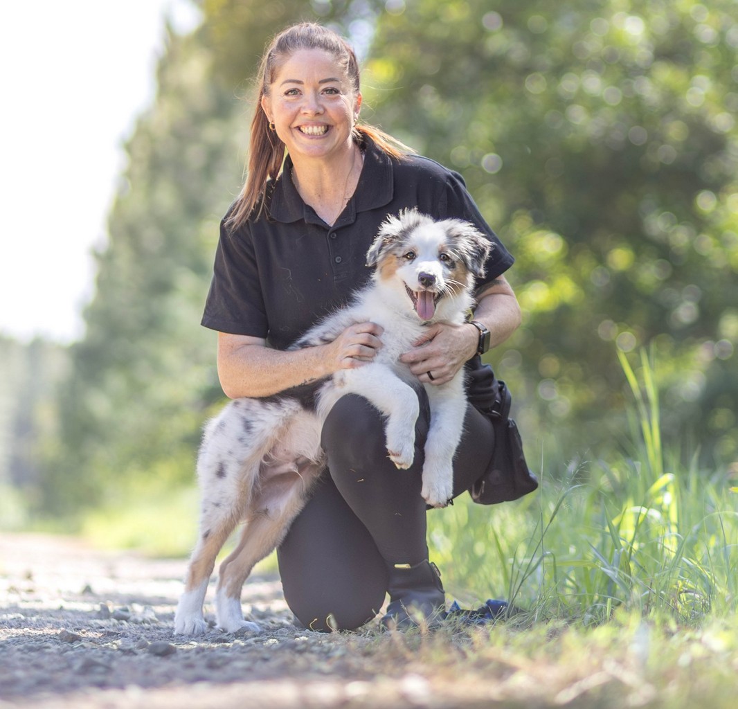 Owner and dog enjoying a calm walk after dog training
