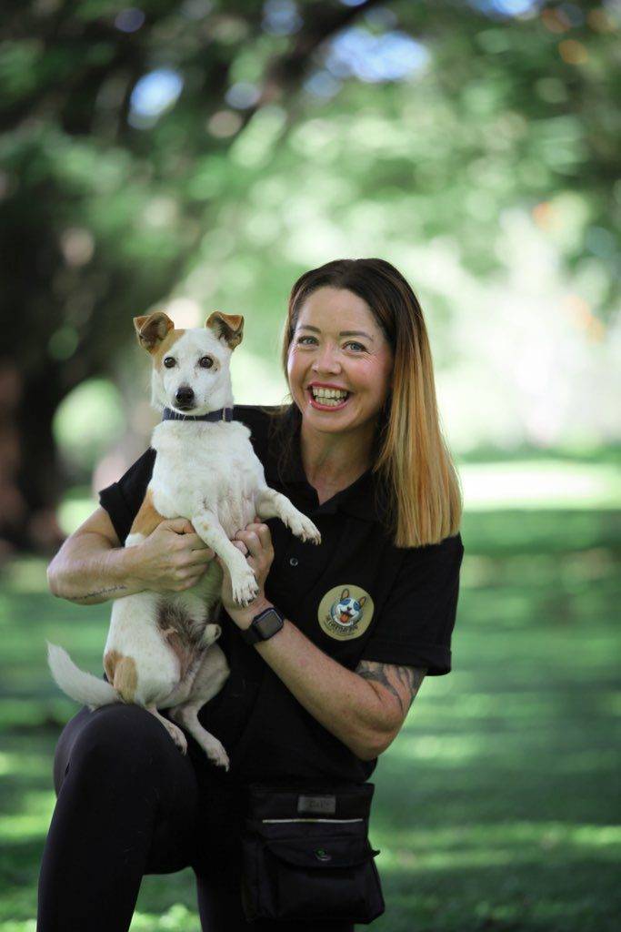 Professional dog trainer working with a happy dog in North Brisbane