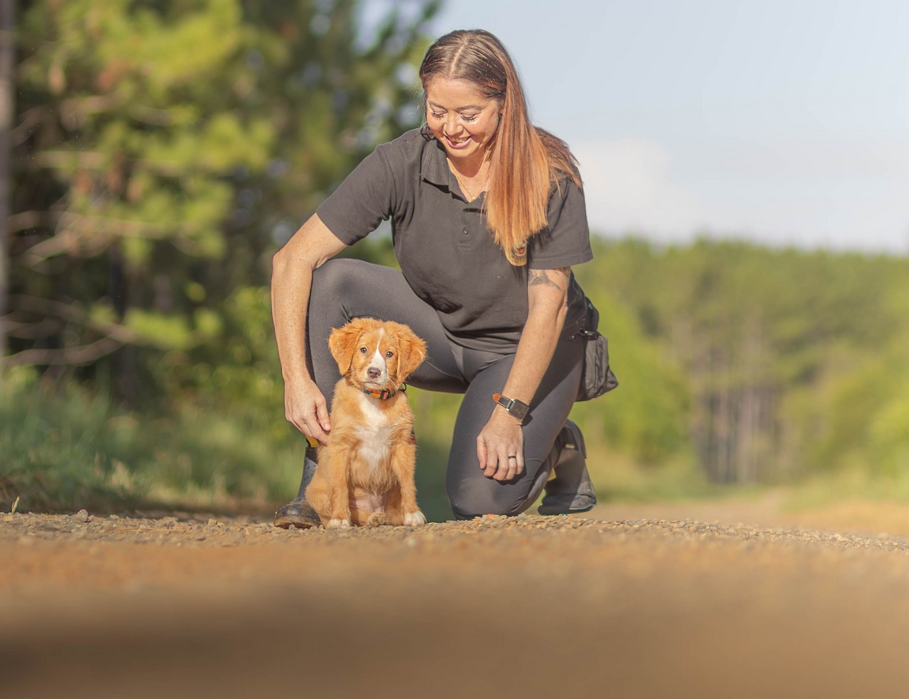 Expert Dog Trainer in Strathpine 4500 - Tailored Training